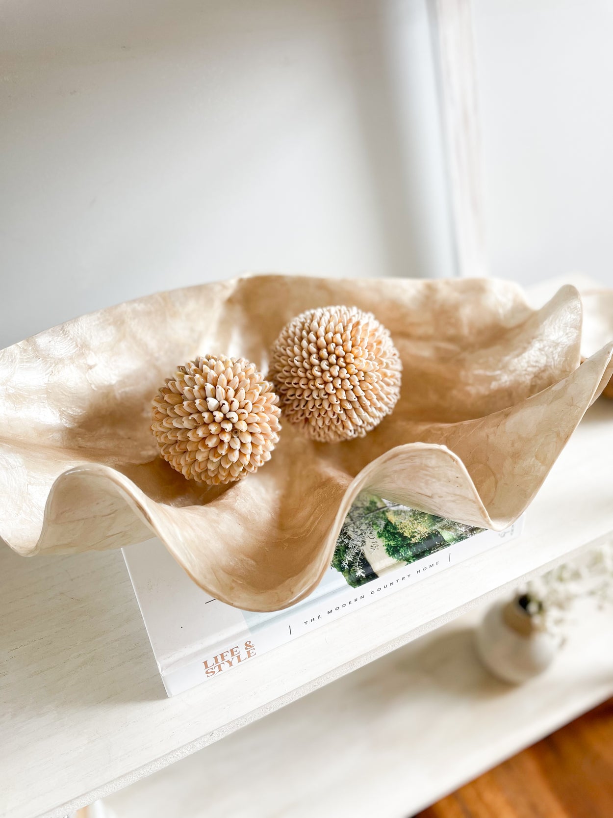 Clam Shell