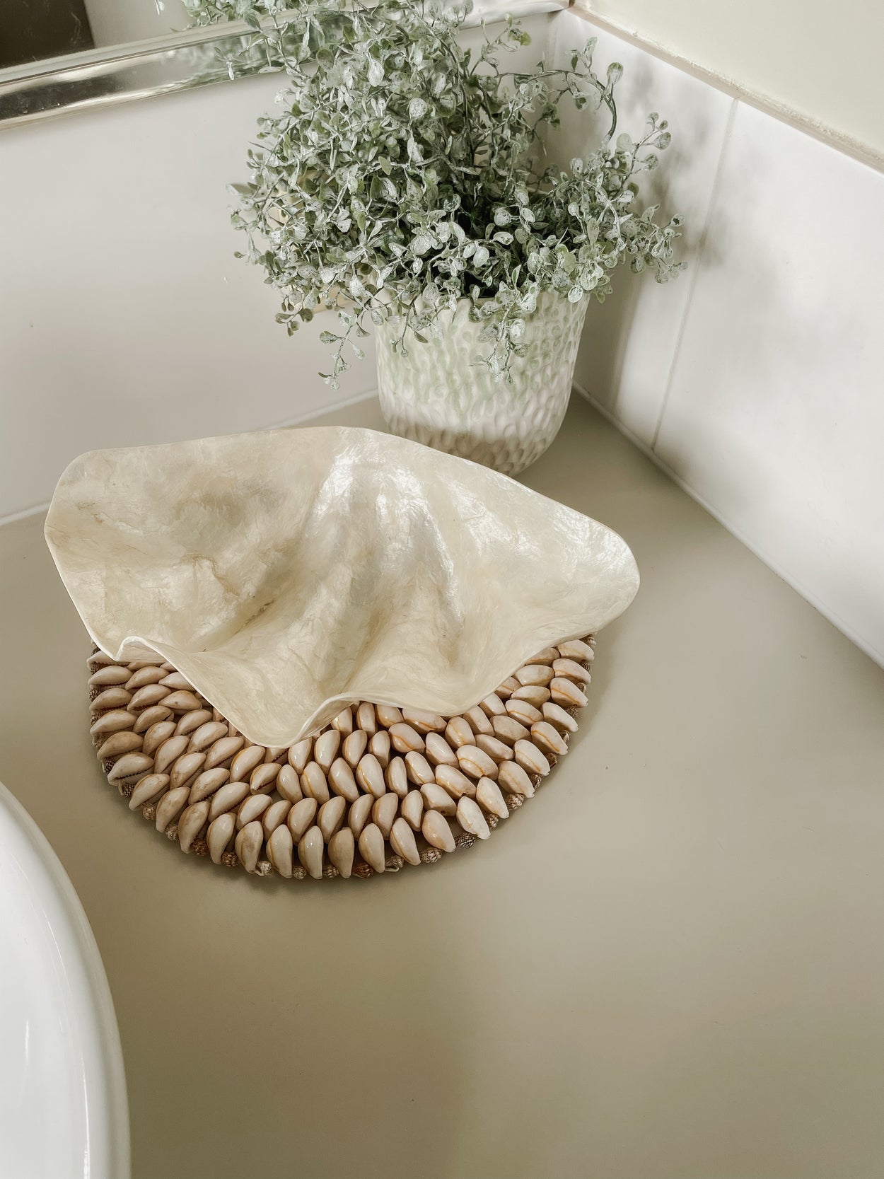 Clam Shell