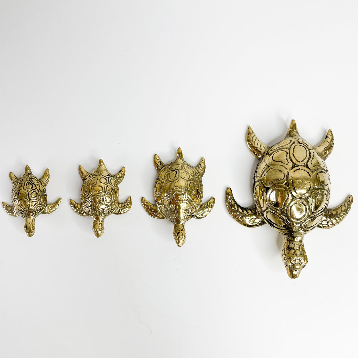 Brass Turtles