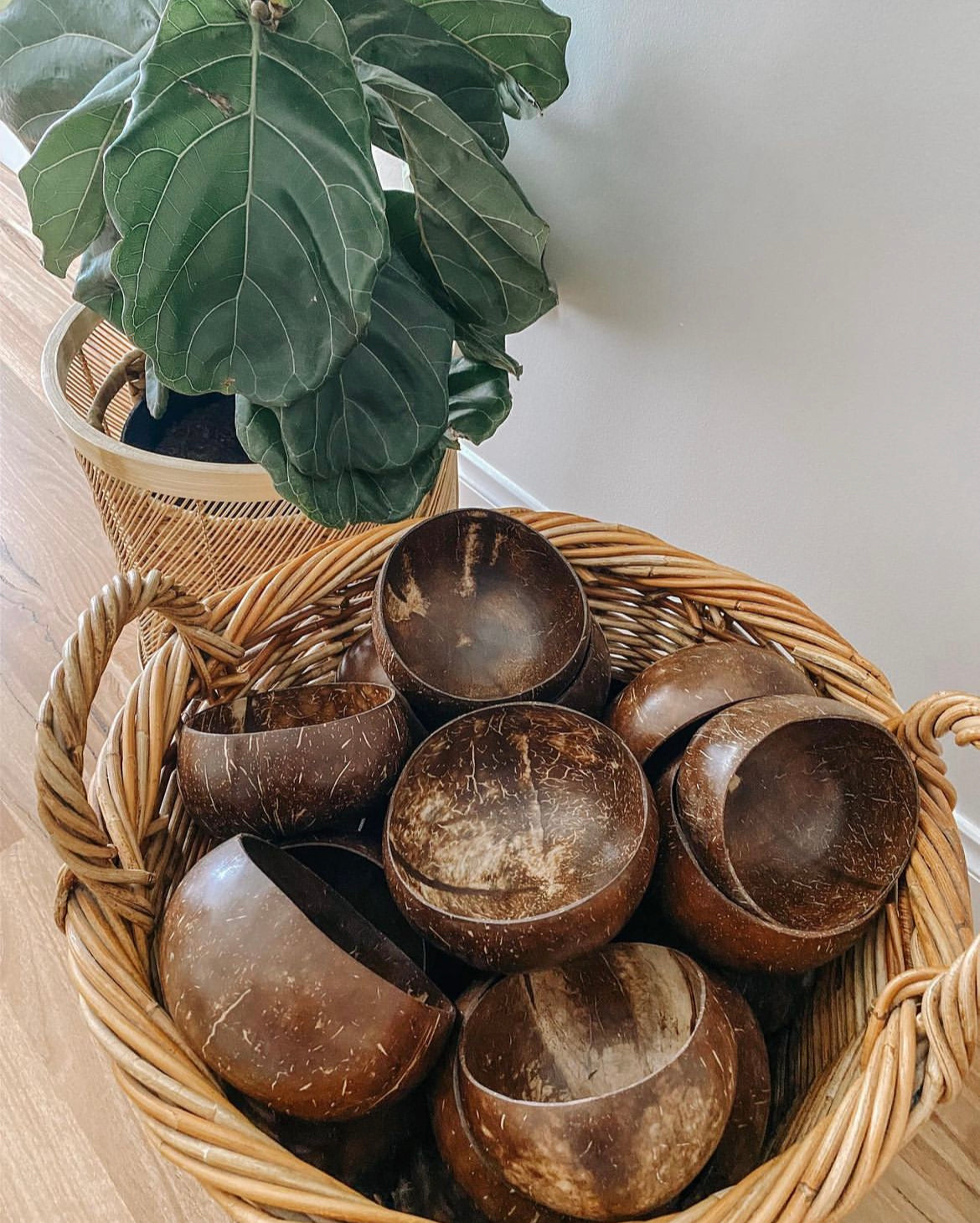 Coconut Bowls