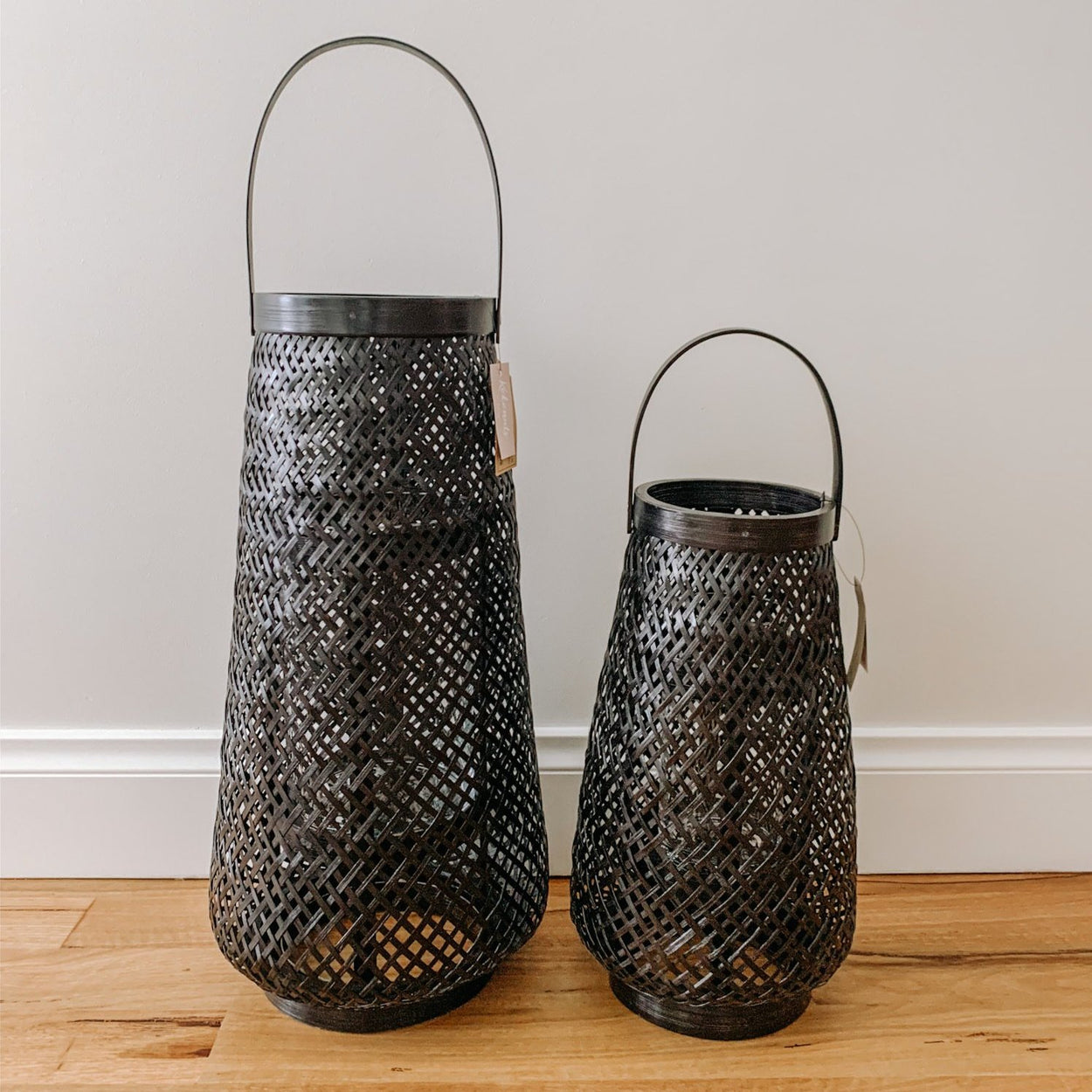 Lolitta Lantern