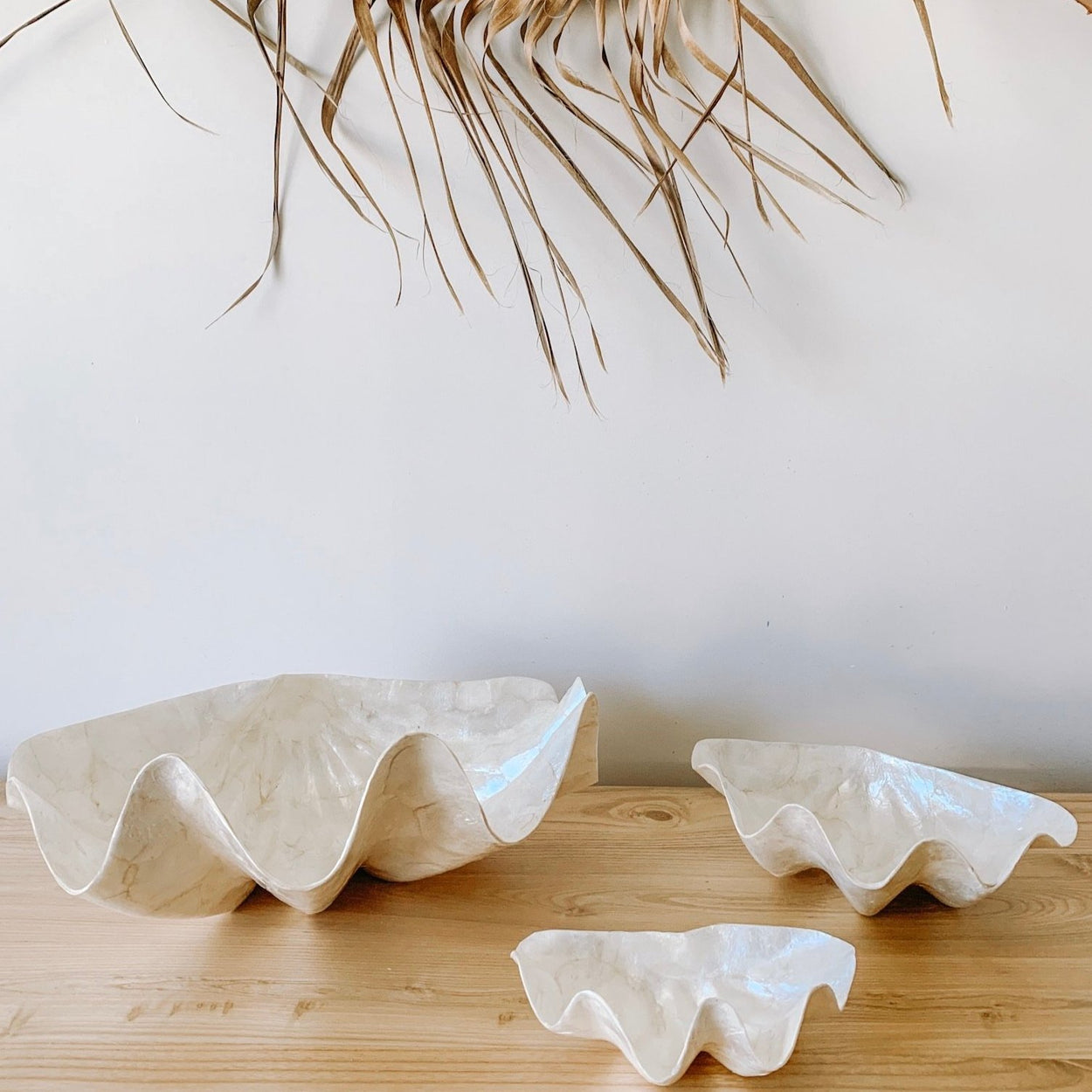 Clam Shell