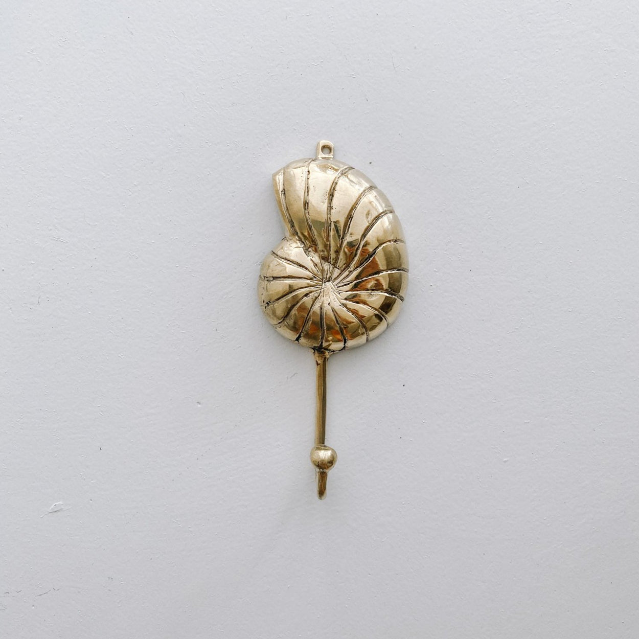 Conch Shell Hook