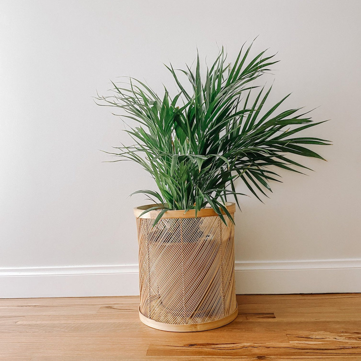 Harper Basket