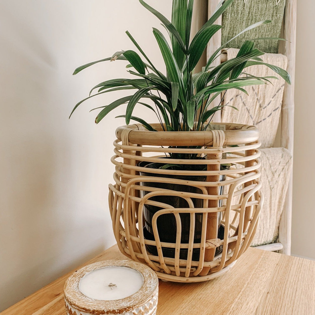 Lotus Planter