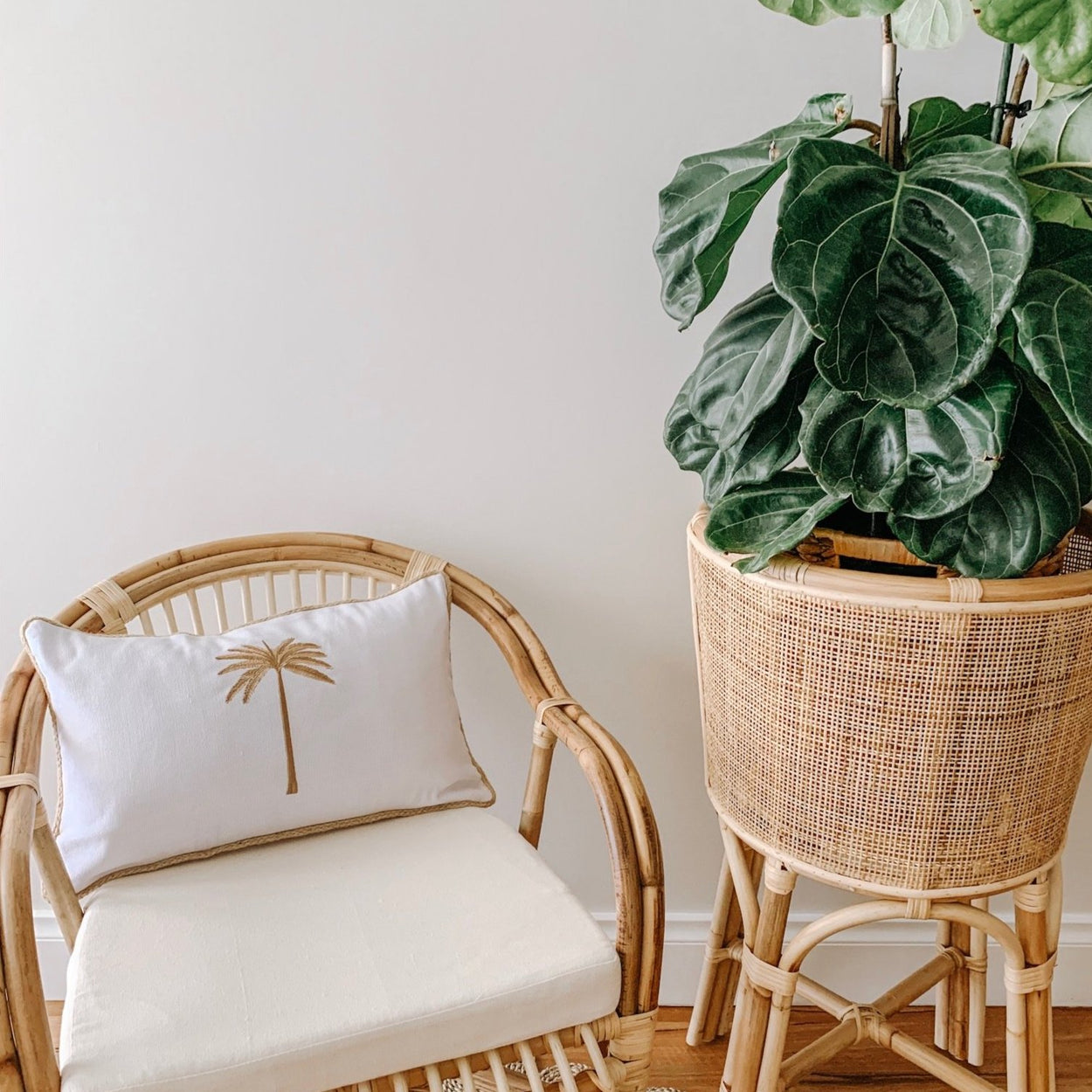 Single Palm Cushion with Border