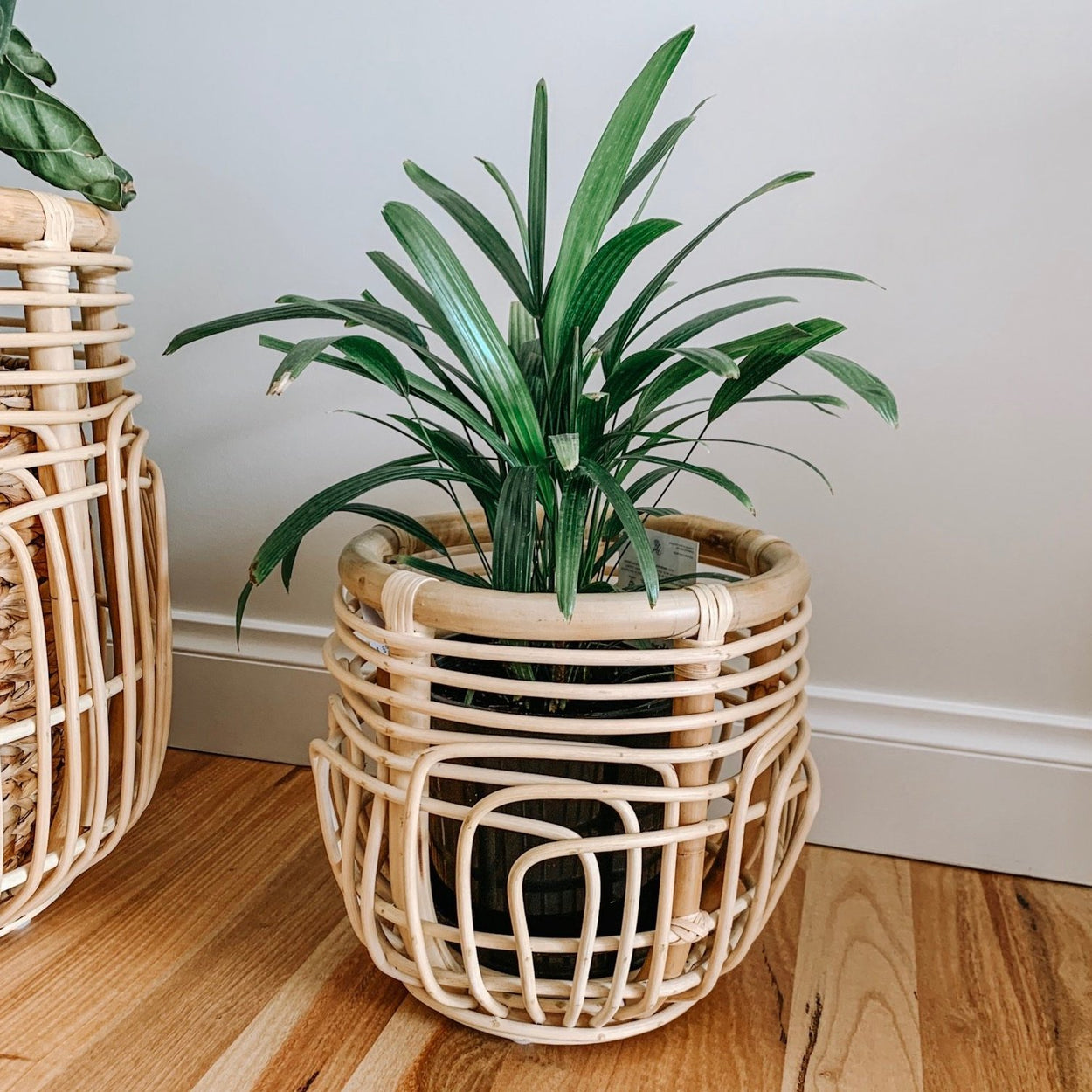 Lotus Planter