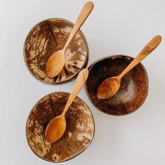 Coconut Bowls