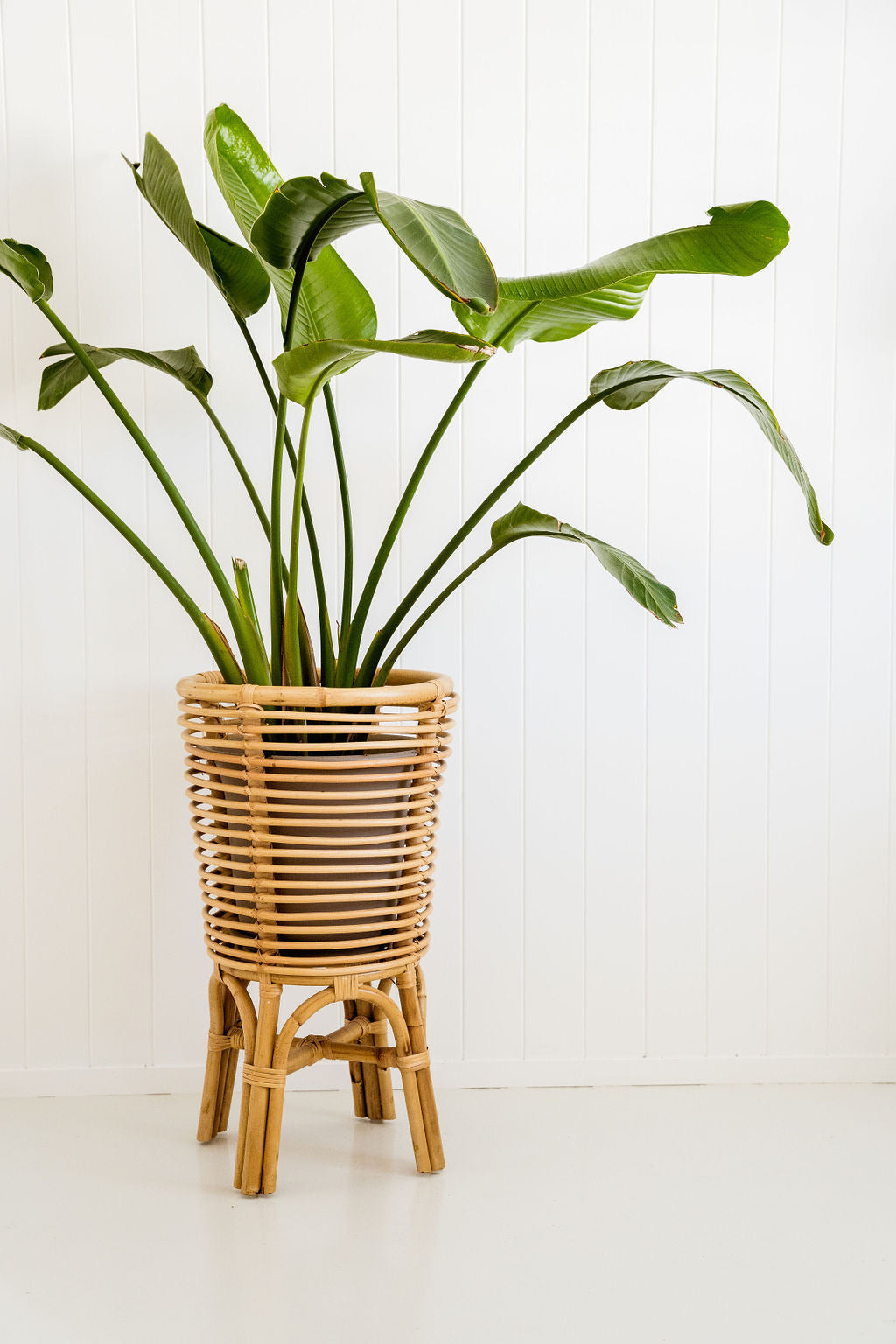 Retro Planter Natural