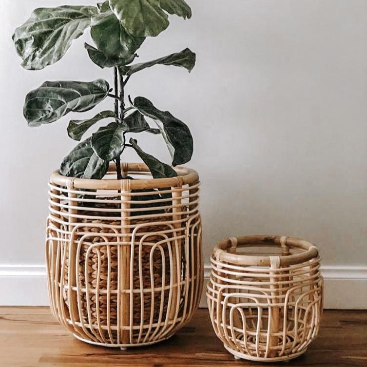 Lotus Planter