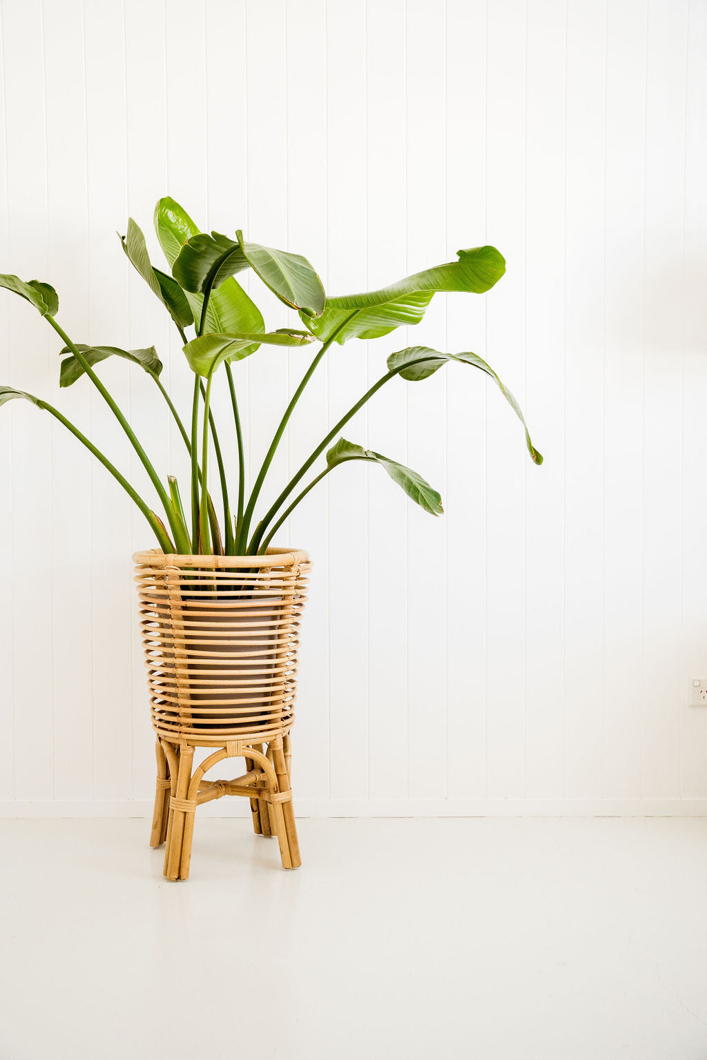 Retro Planter Natural