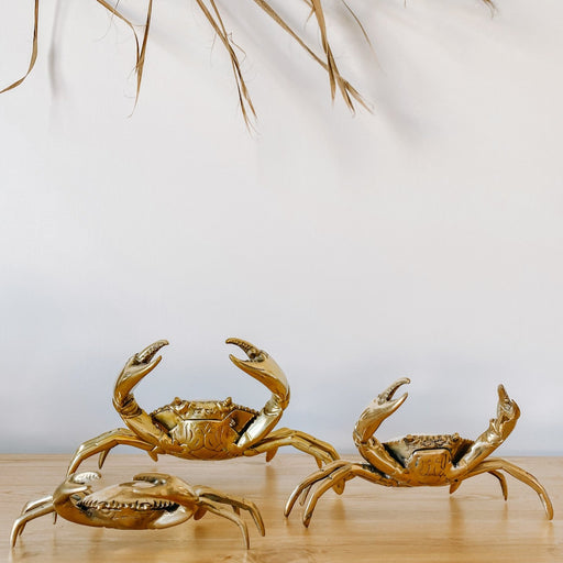 Brass Crabs