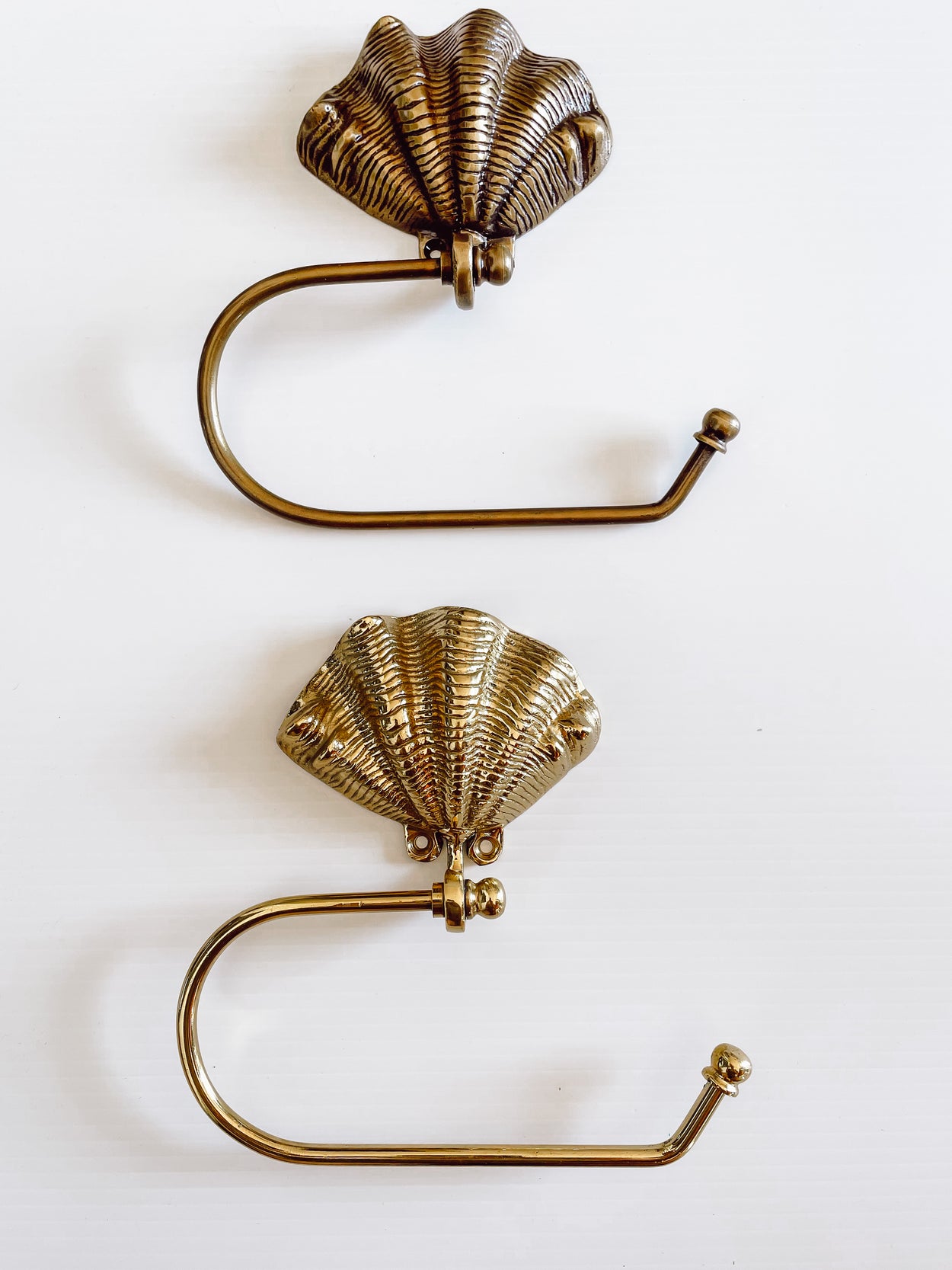 Shell toilet roll or hand towel holder