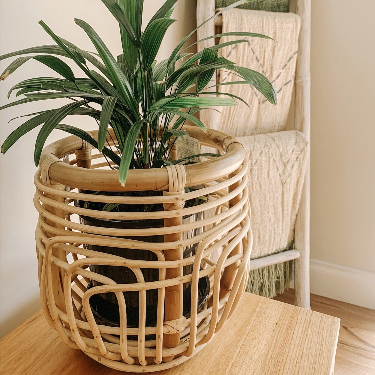 Lotus Planter