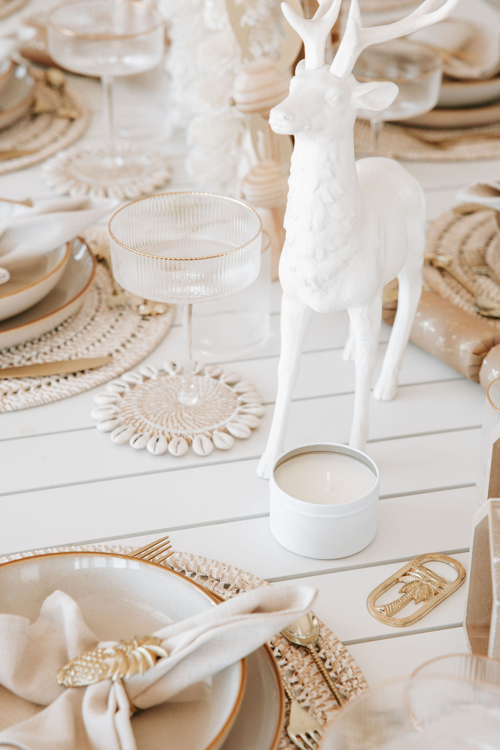 Shell Rattan  Coasters