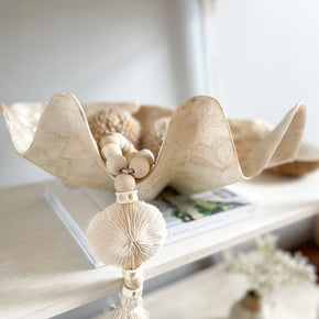 Clam Shell