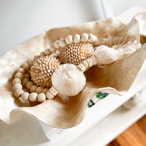 Clam Shell