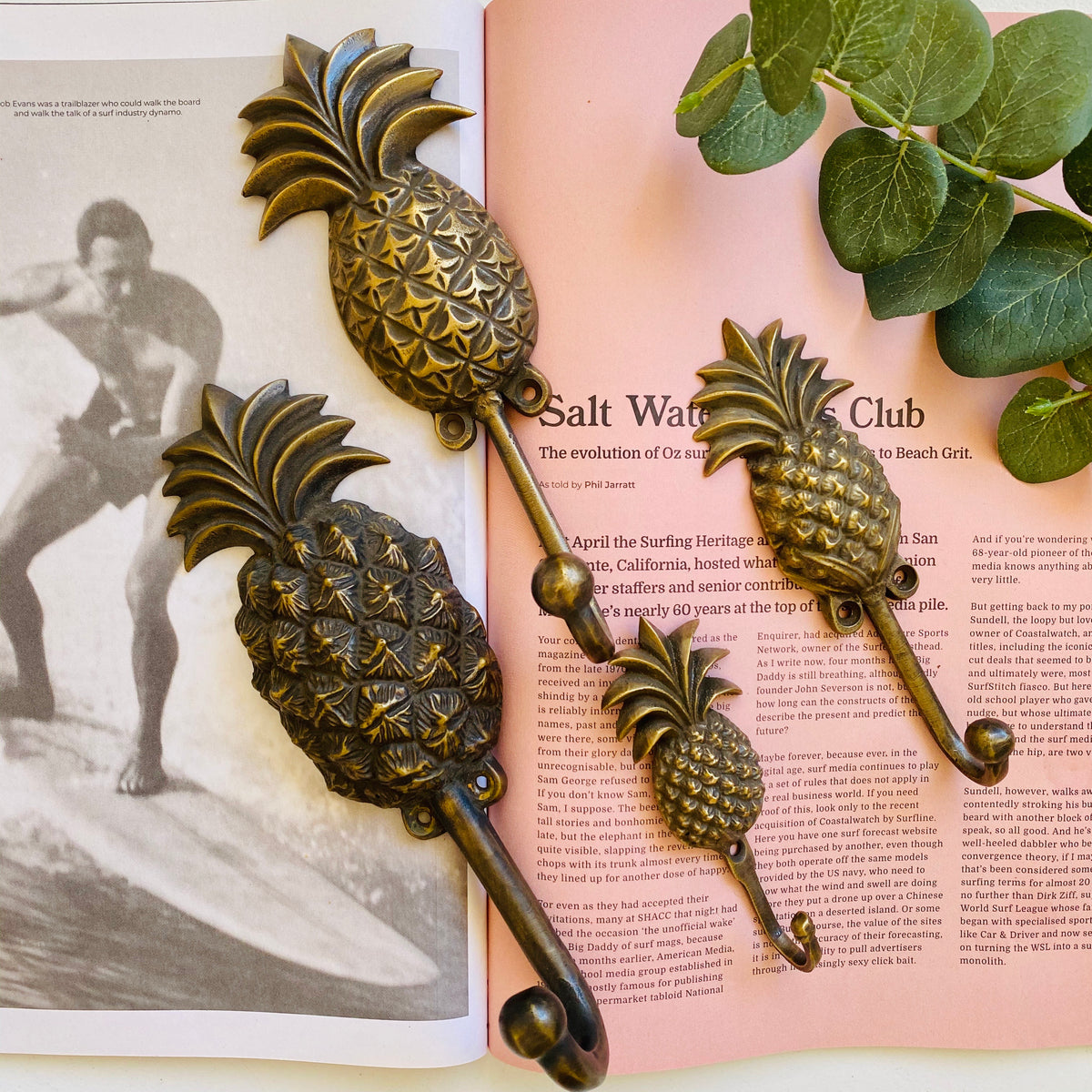 Pineapple Brass Hooks — kokonuts living