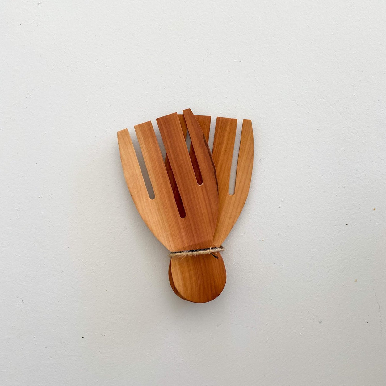 Teaki Salad Fork